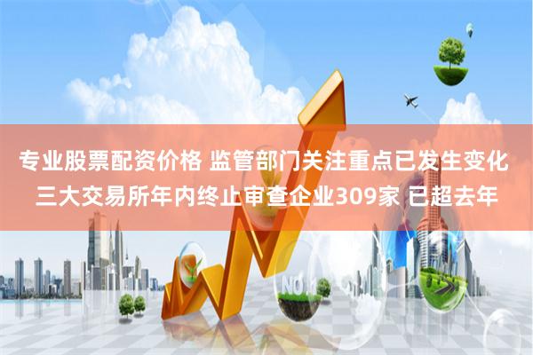 专业股票配资价格 监管部门关注重点已发生变化 三大交易所年内终止审查企业309家 已超去年